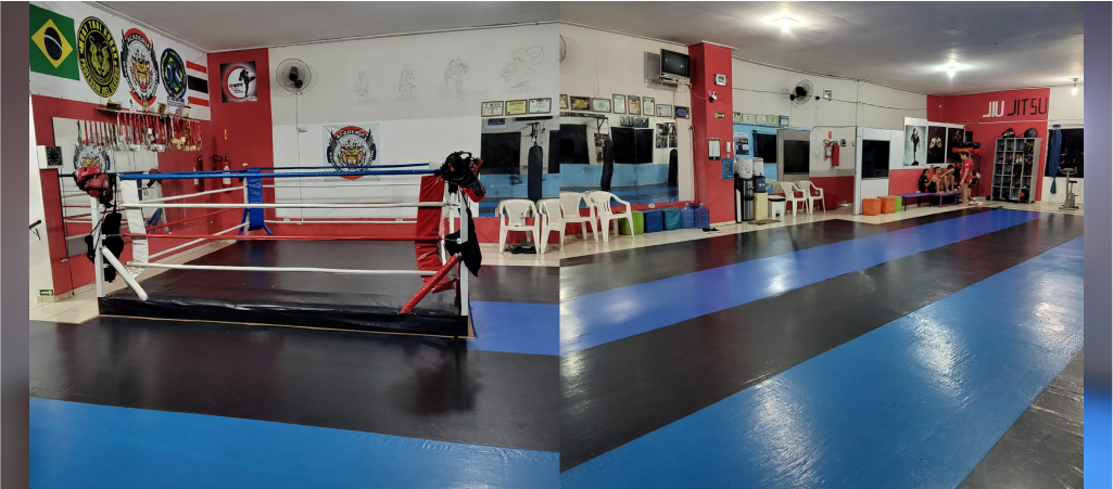 academia silverio paulinia8
